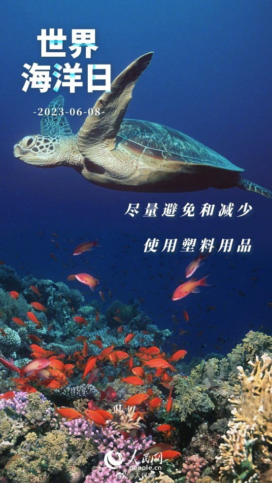 人民网