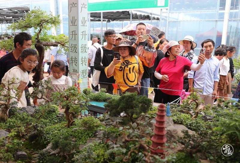 云南省文化和旅游厅