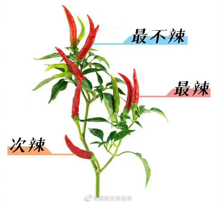 昆明五华发布