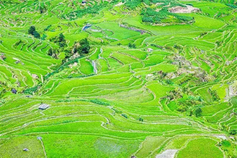红河文旅
