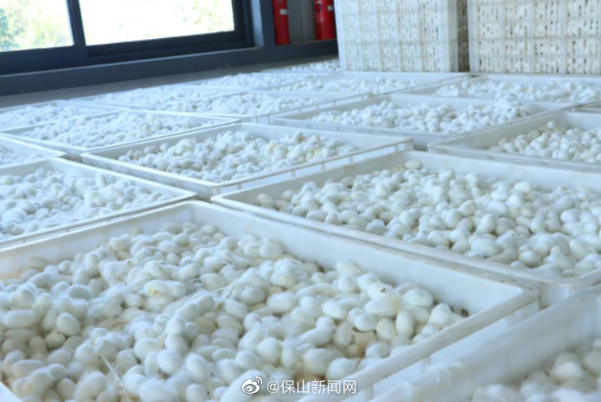 保山新闻网