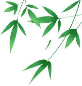 大理日报