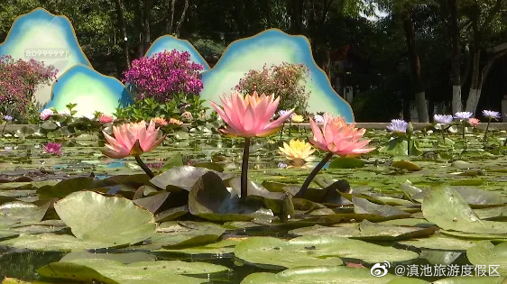 滇池旅游度假区