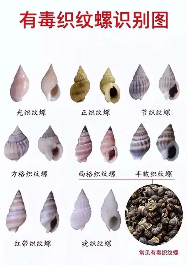 昆明西山发布