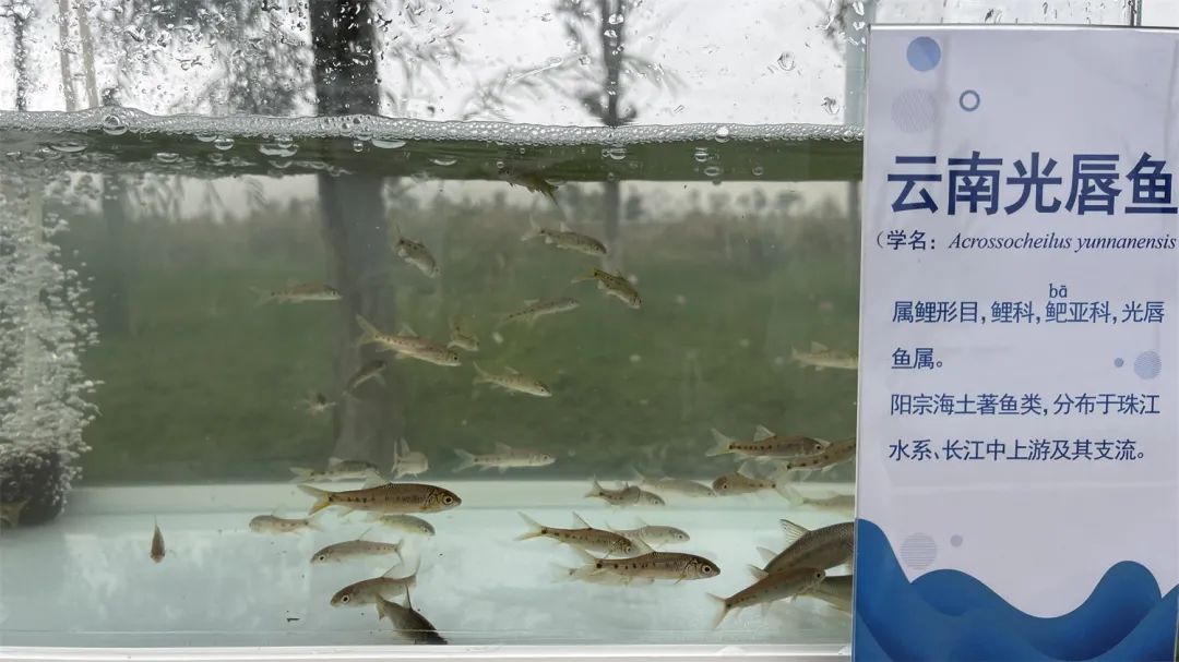 昆明阳宗海风景名胜区