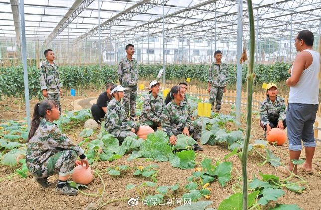 保山新闻网