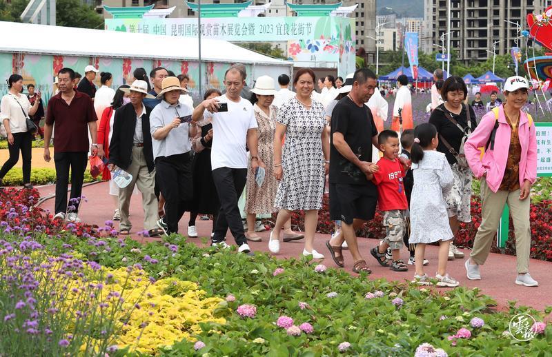 云南省文化和旅游厅