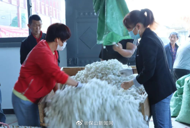 保山新闻网