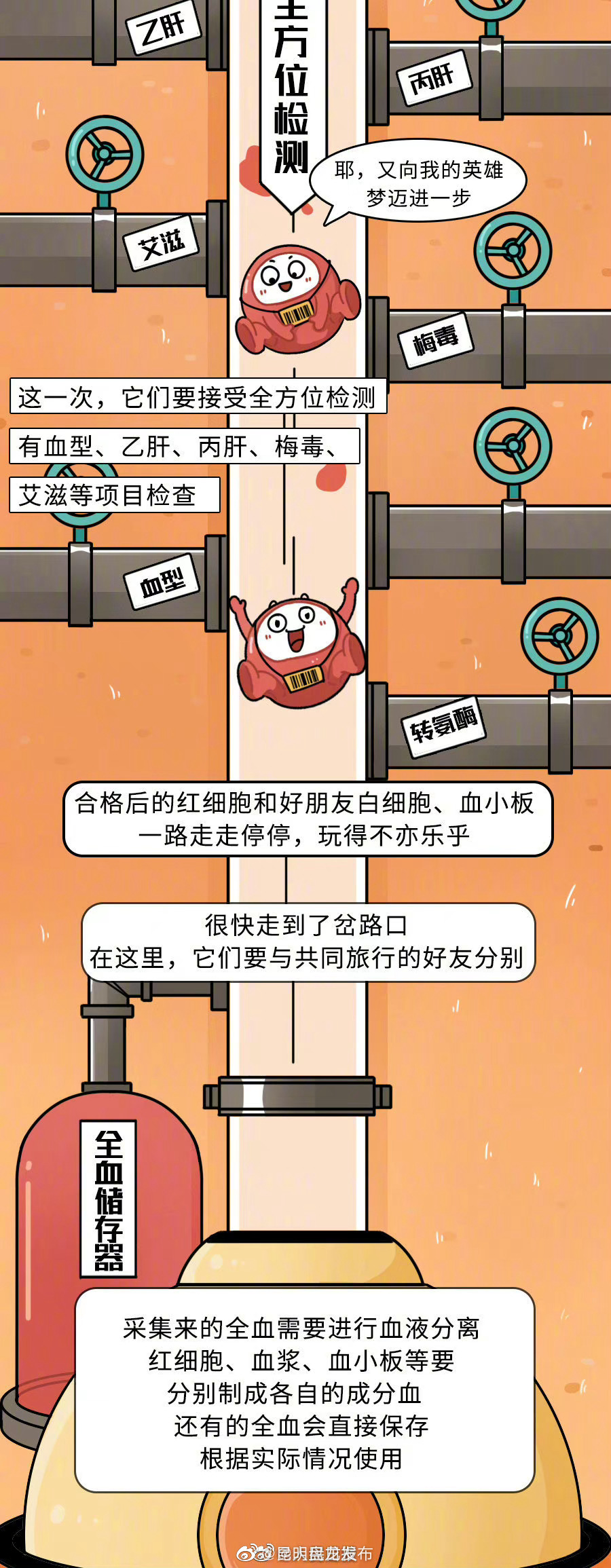 昆明盘龙发布