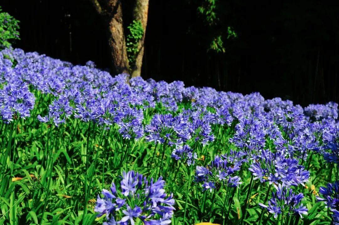 昆明市金殿名胜区