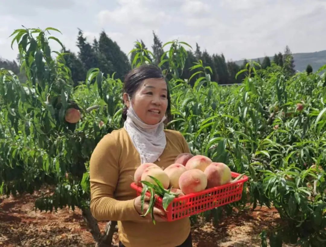 昆明阳宗海风景名胜区