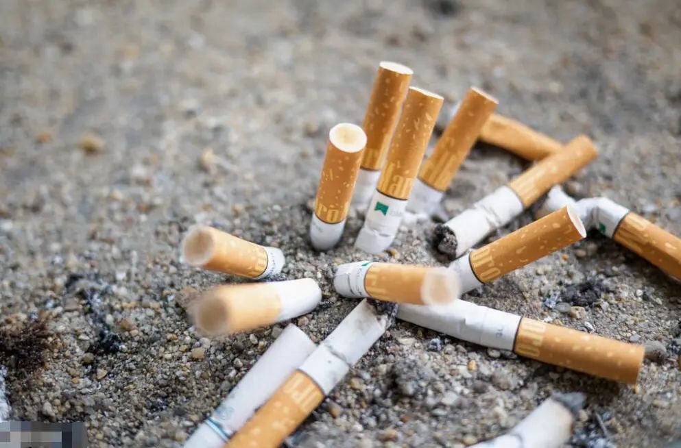 晋宁诗意的栖居地