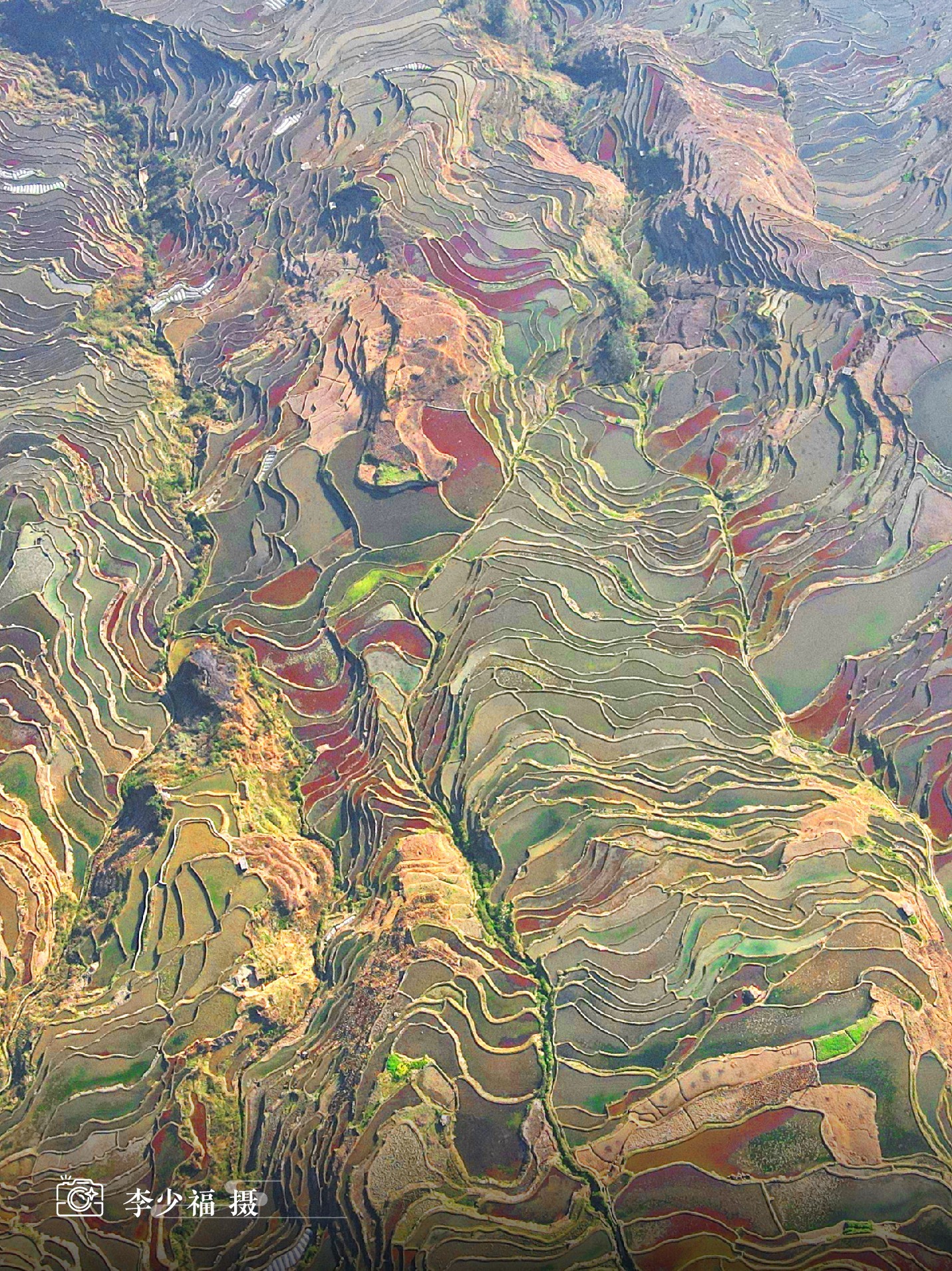 云南省文化和旅游厅