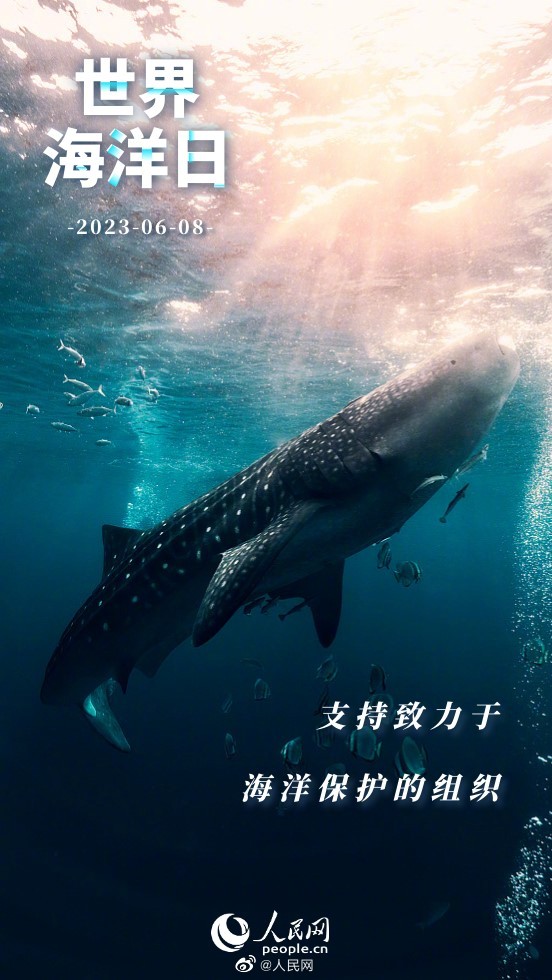 人民网