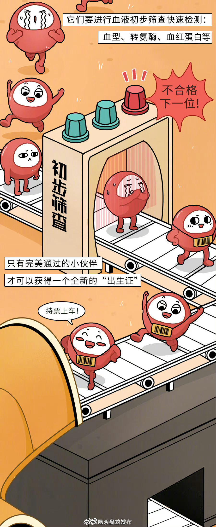 昆明盘龙发布