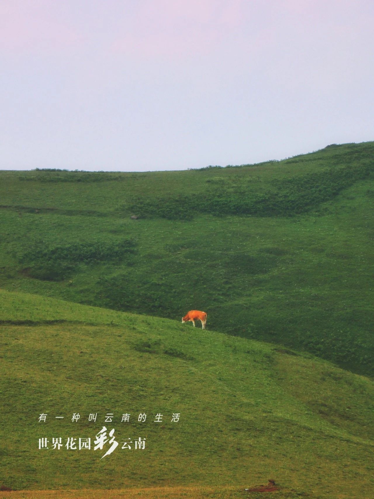 云南省文化和旅游厅