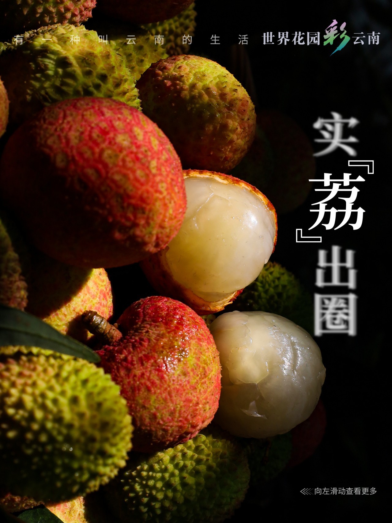 云南省文化和旅游厅