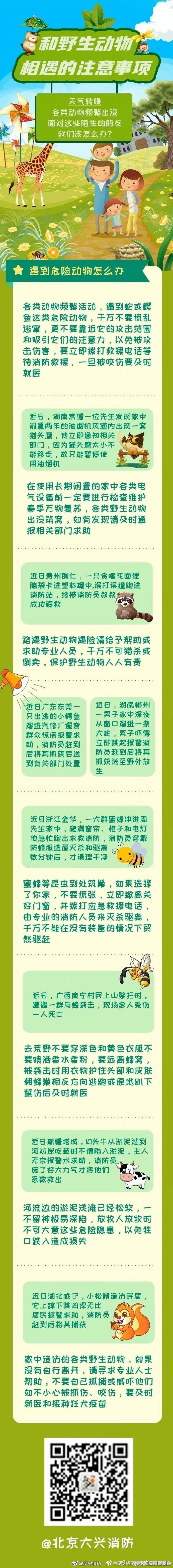 与野生动物相遇的那些事