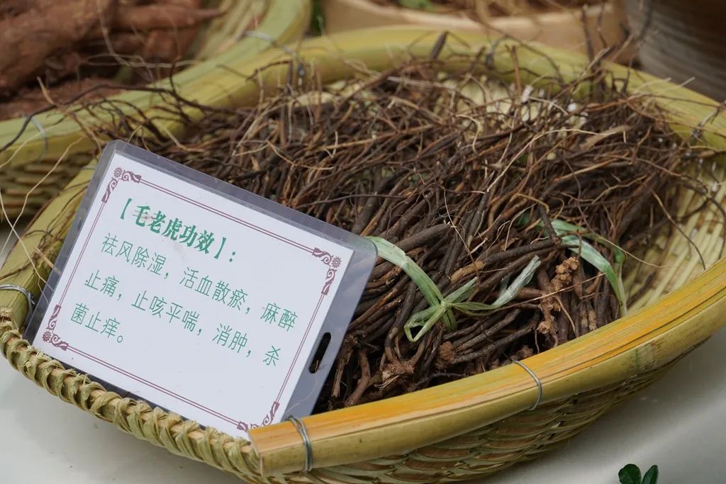 普洱日报
