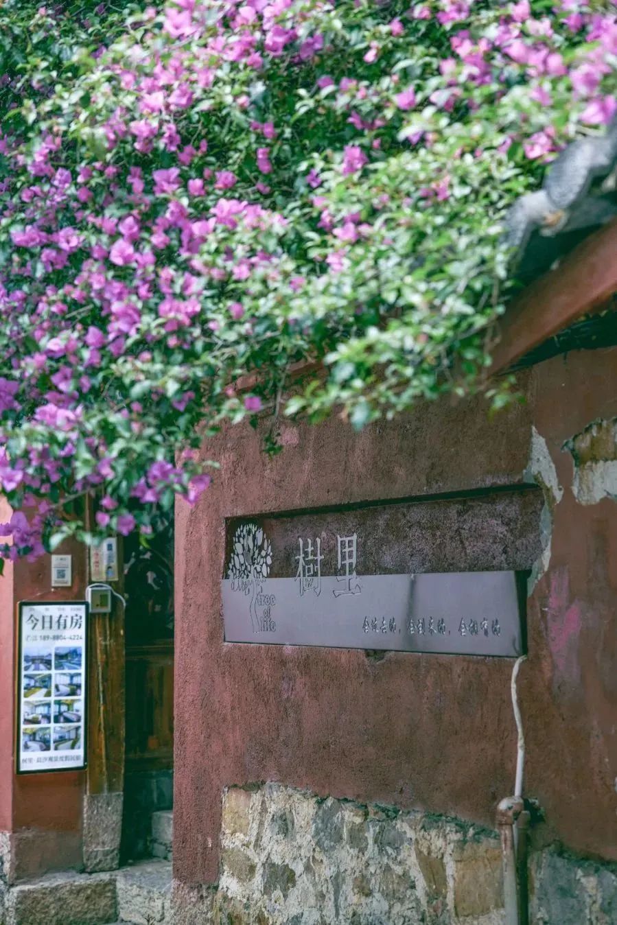 微丽江