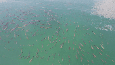 昆明信息港/cnkmxxg