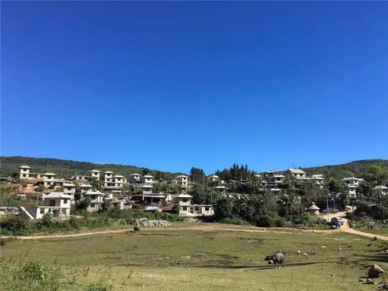 云南省文化和旅游厅