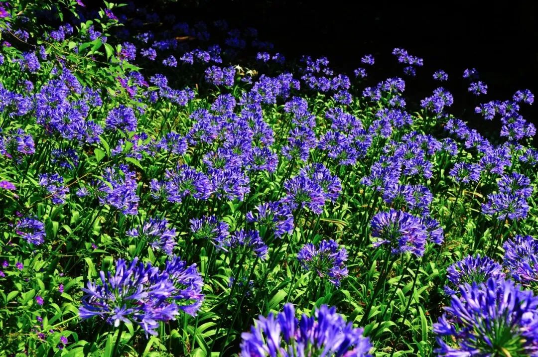 昆明市金殿名胜区