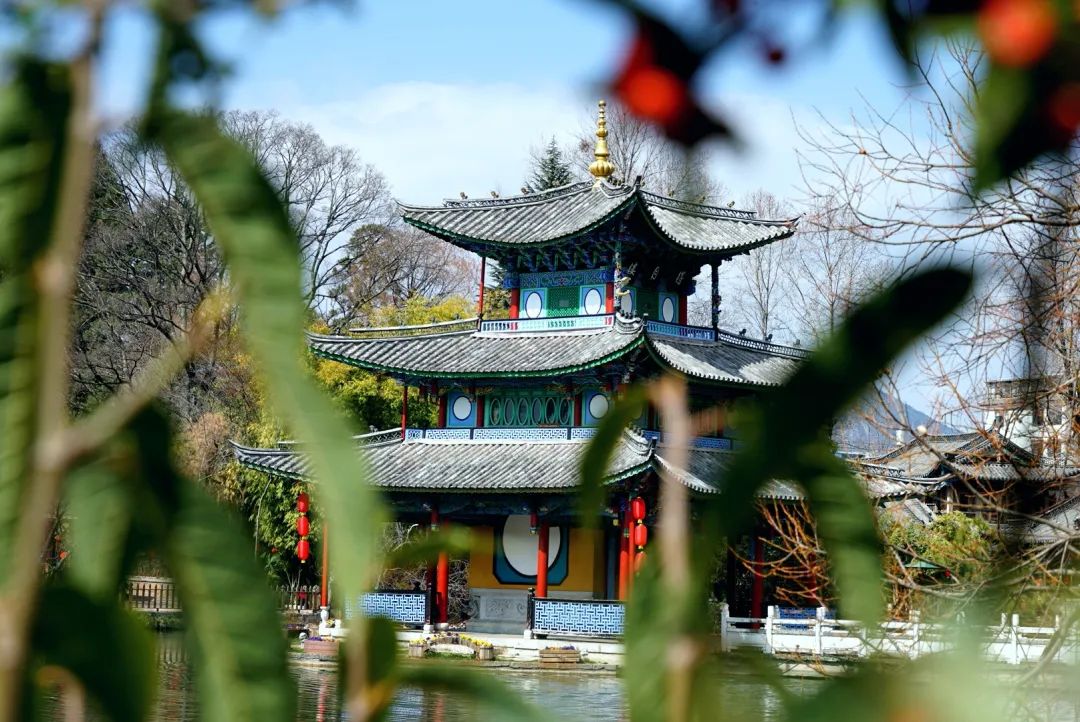 丽江日报