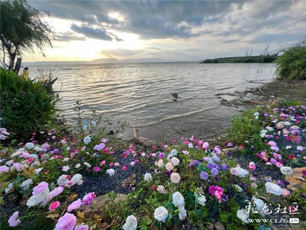 云南省文化和旅游厅