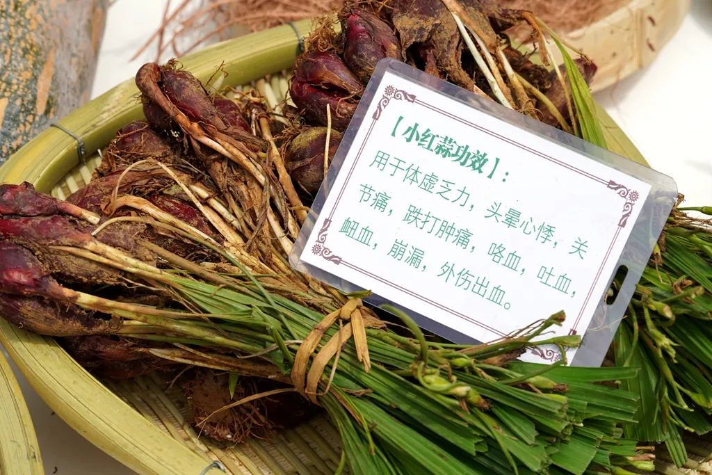 普洱日报