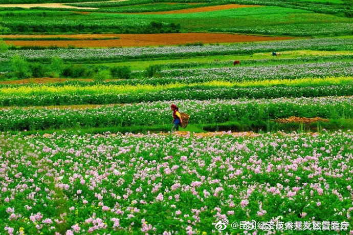 昆明经济技术开发区管委会