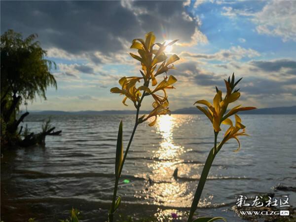 云南省文化和旅游厅