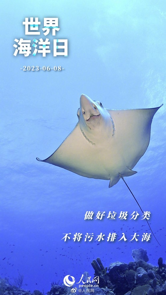 人民网
