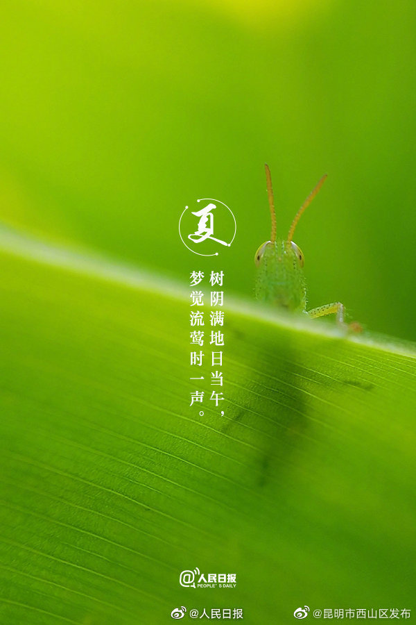 昆明市西山区发布