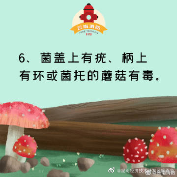 昆明经济技术开发区管委会