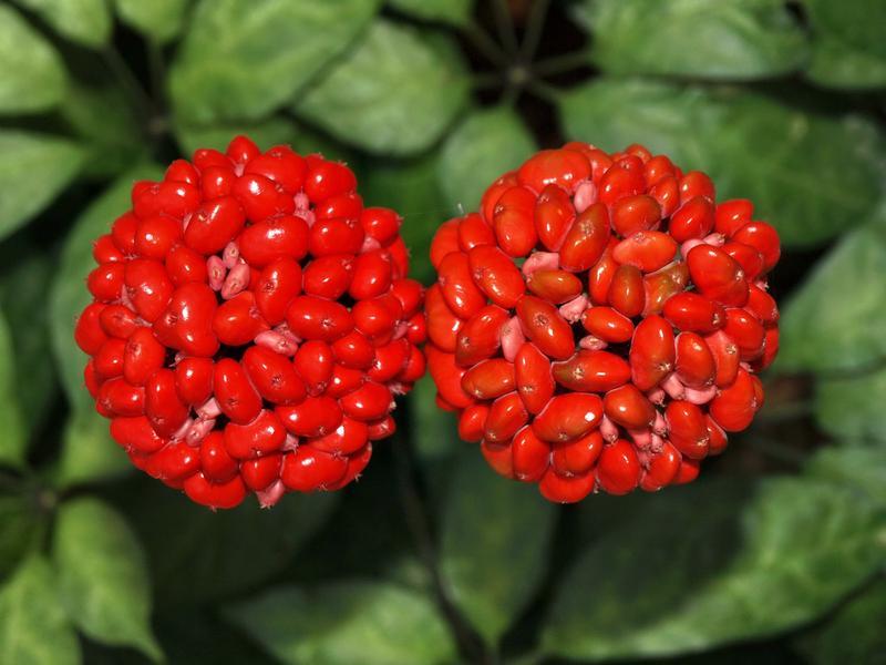 云南省文化和旅游厅