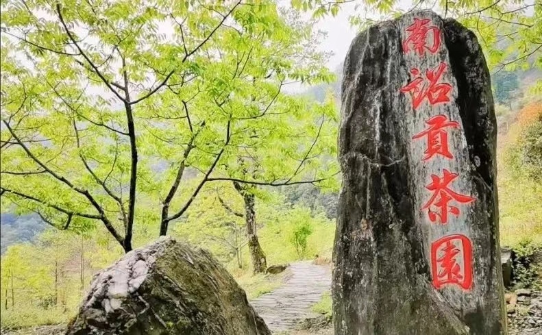 云南省文化和旅游厅