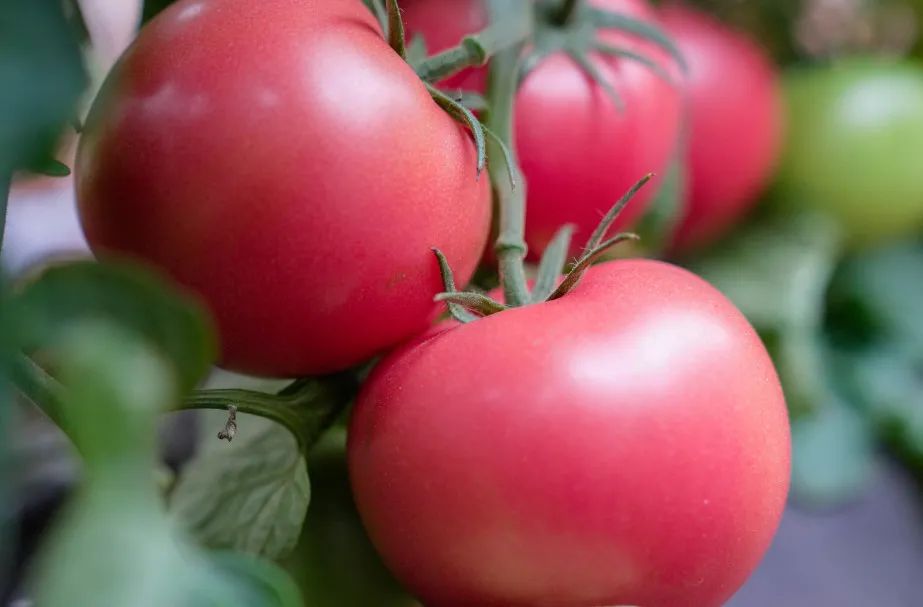 晋宁诗意的栖居地