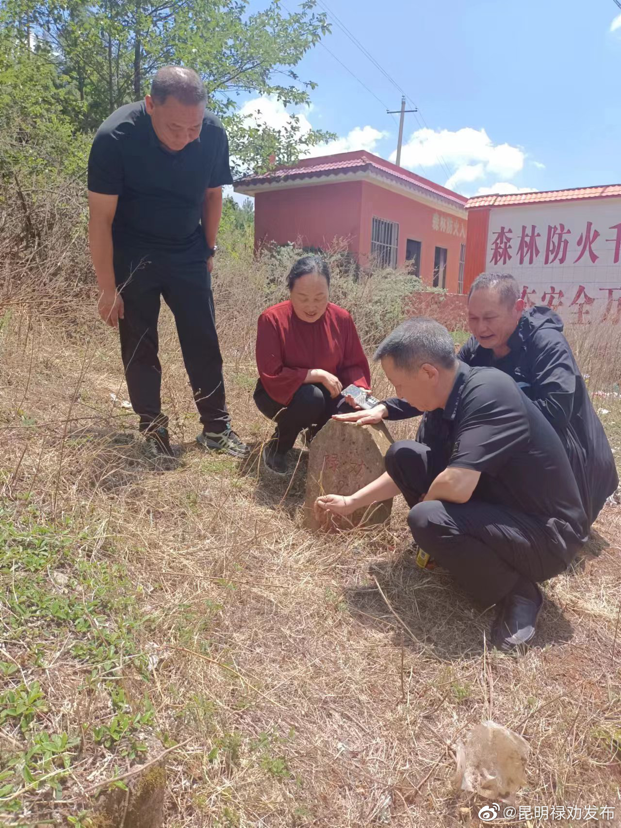 昆明禄劝发布