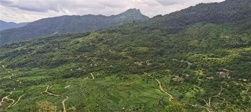 云南省文化和旅游厅