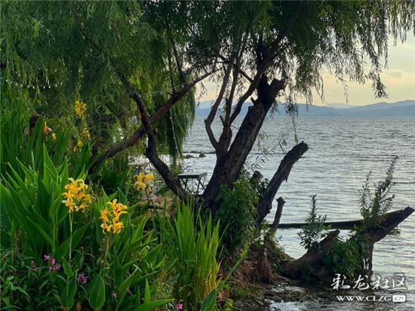 云南省文化和旅游厅