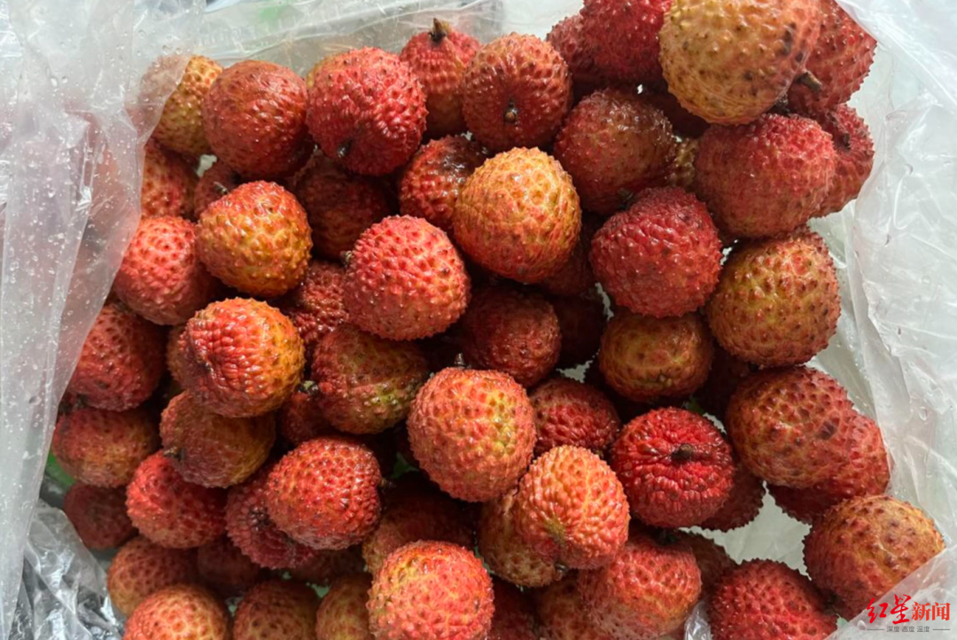 昆明信息港/cnkmxxg