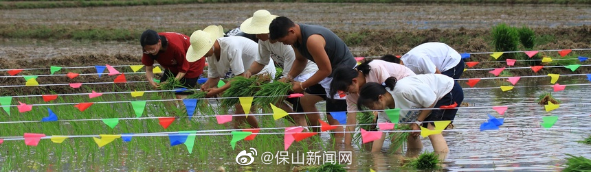 保山新闻网