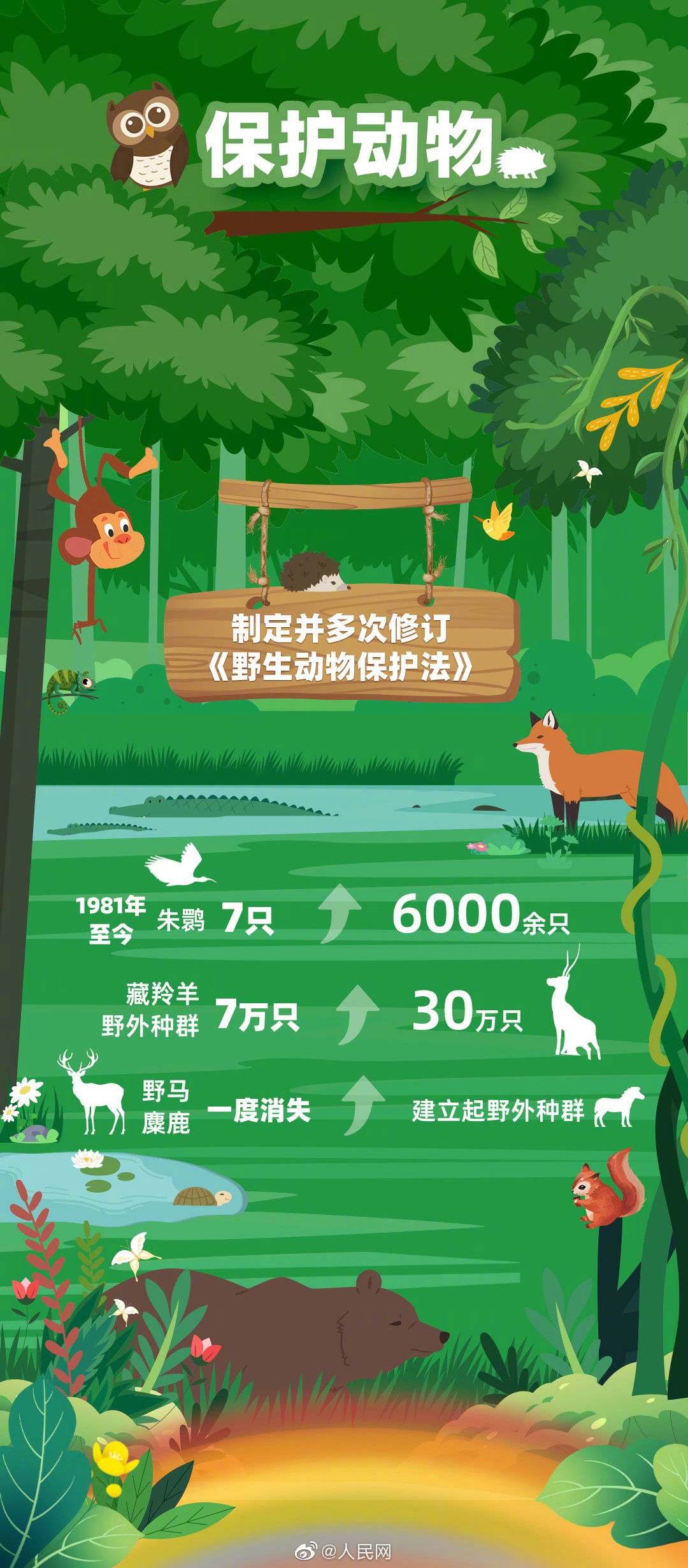 人民网