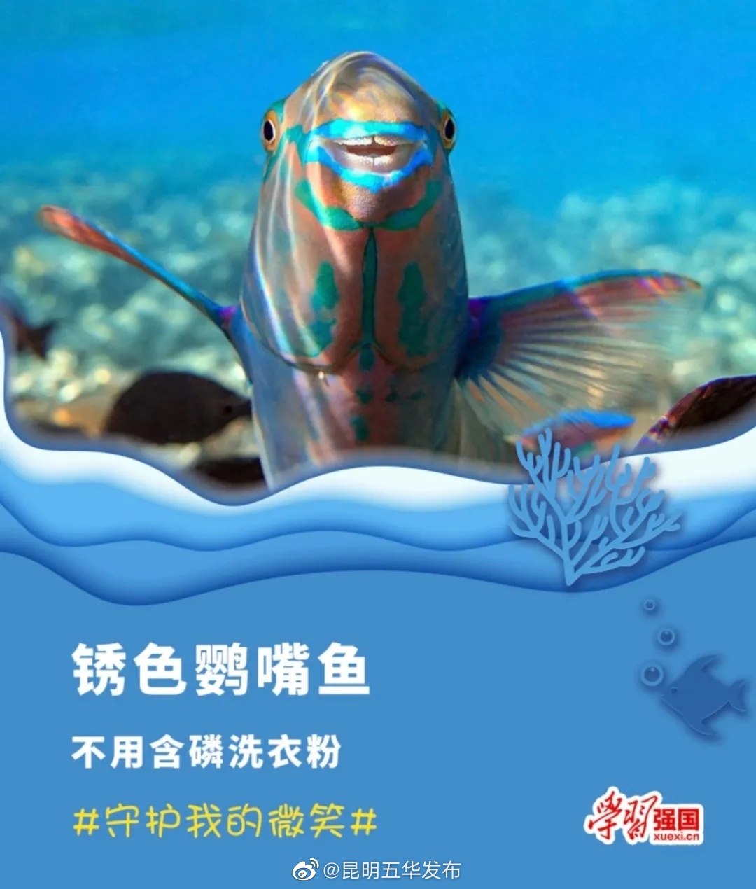 昆明五华发布