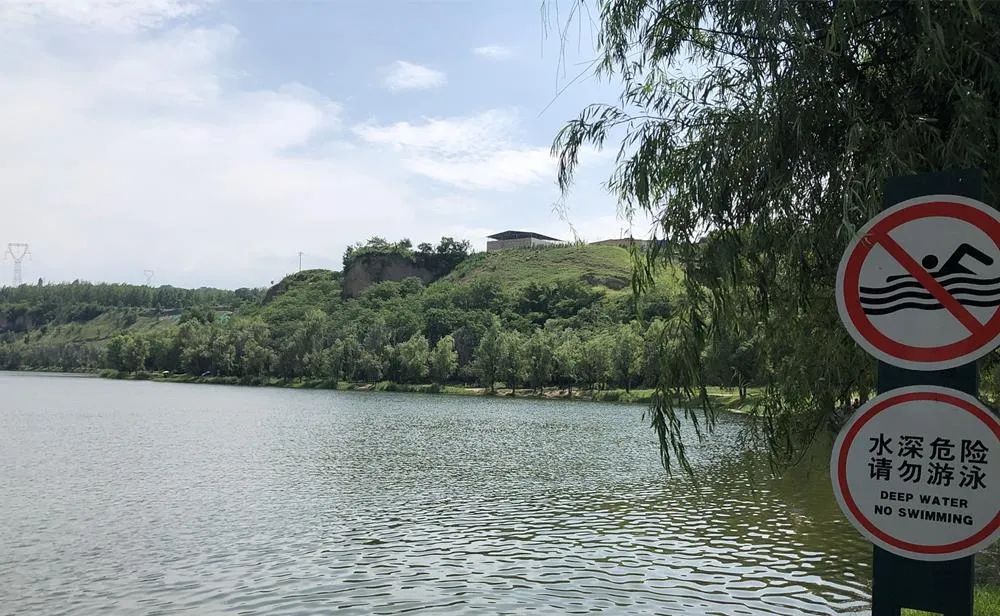 大理日报