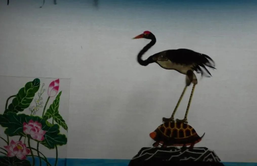 云南省文化和旅游厅