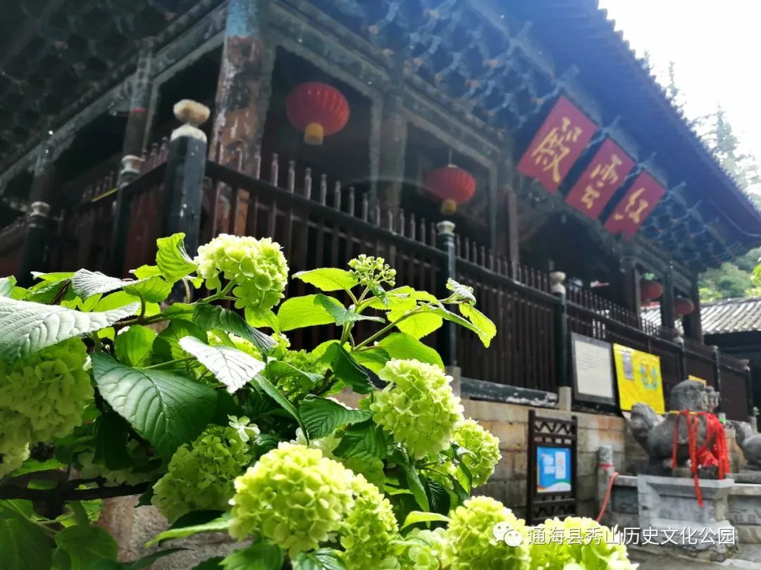 云南省文化和旅游厅