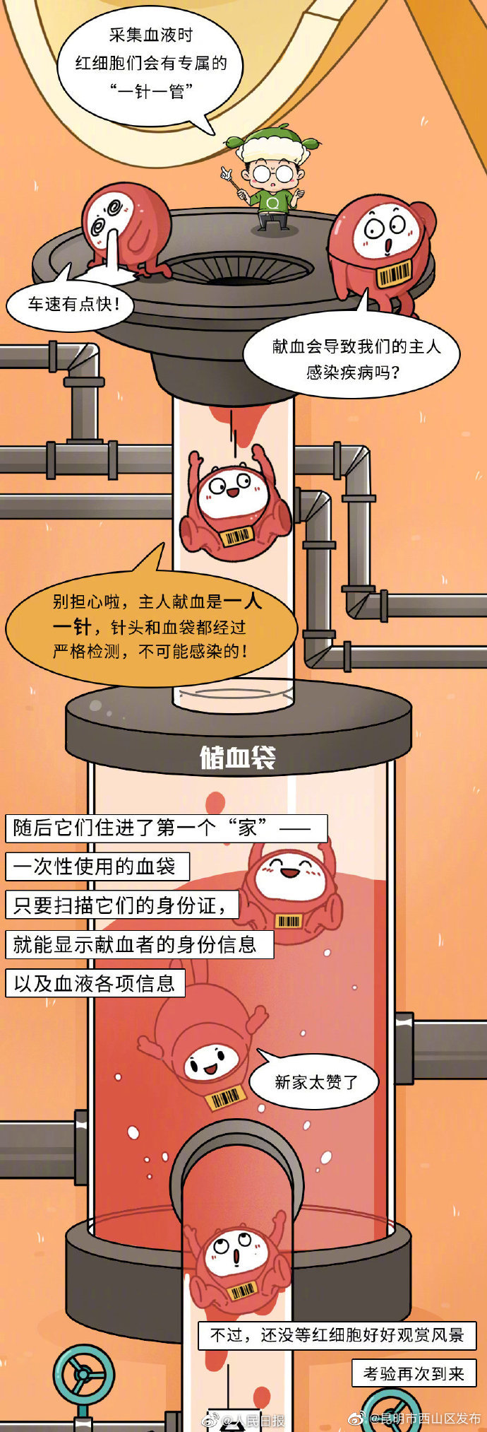 昆明市西山区发布