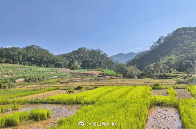 保山新闻网